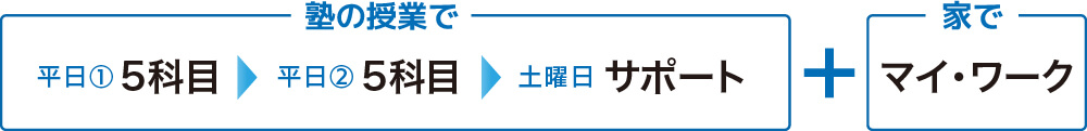 週3回コース