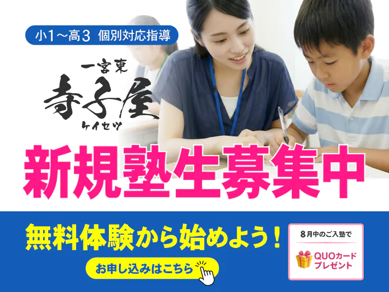 夏期生徒募集中　小１から高３までの個別指導塾　寺子屋ケイセツ一宮東校